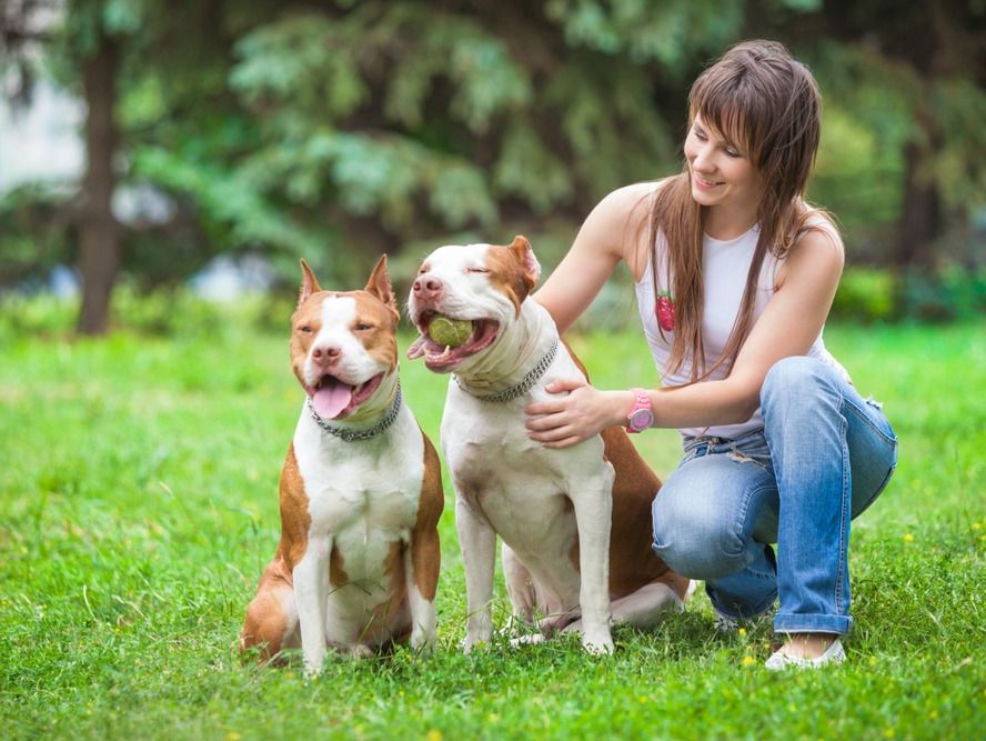 mujer en el campo con dos perros