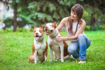 mujer en el campo con dos perros